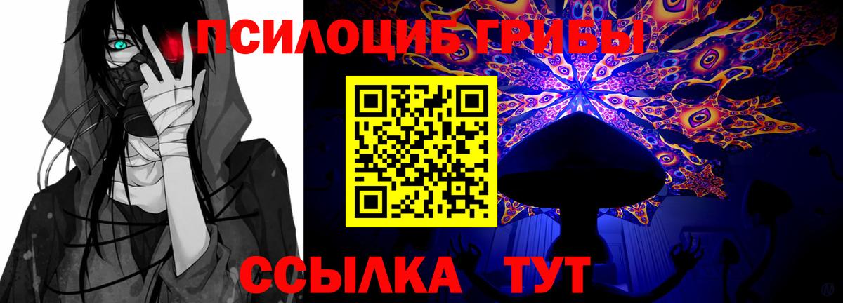 Спасск-Дальний  Псилоцибиновые грибы Psilocybine cubensis  Вход с VPN 